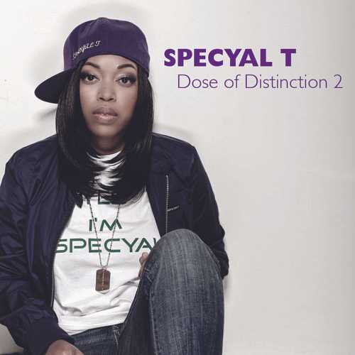 Dose Of Distinction 2 album cover